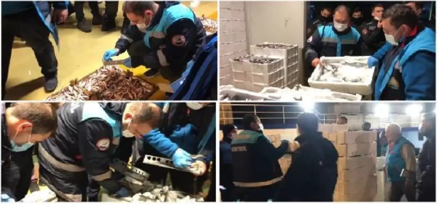 Gürpınar Su Ürünleri Hali'nde yaklaşık 5 ton balığa el konuldu