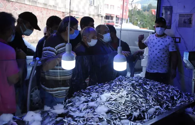 Hopa'da kilogramı 5 liradan satılan hamsi, balıkçı tezgahında kuyruk oluşturdu