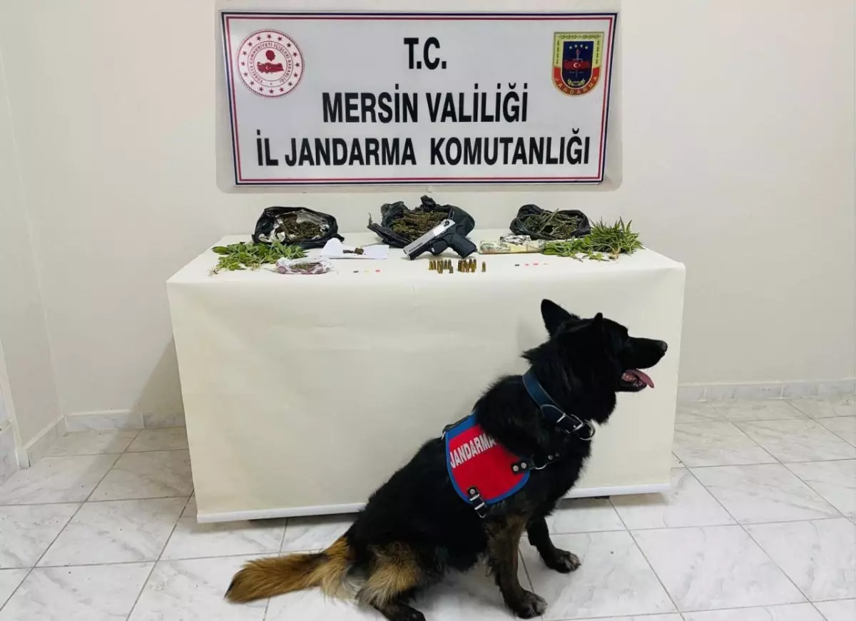 Son dakika haberi... Mersin'de uyuşturucu operasyonunda bir şüpheli yakalandı