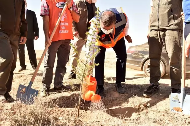 Vali Işık fidan dikim etkinliğine katıldı