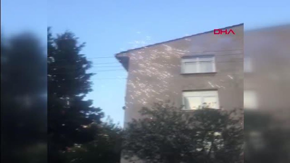 yikilan bina elektrik tellerine carpinca kork 14455501 amp
