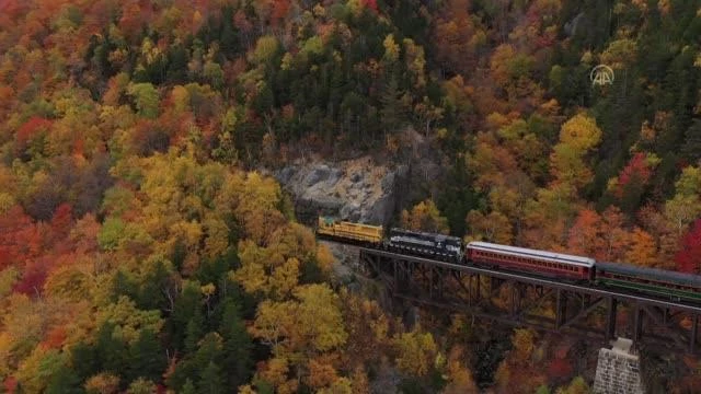 ABD'de ormanlar sonbahar renklerine büründü