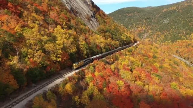 ABD'de ormanlar sonbahar renklerine büründü