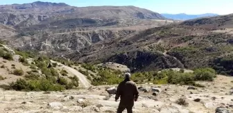 Doğa Koruma Ve Milli Parklar: Elazığ'da kaçak avcılığın önlenmesi için denetimler sürüyor Doğa Koruma Ve Milli Parklar: Elazığ'da kaçak avcılığın önlenmesi için denetimler sürüyor