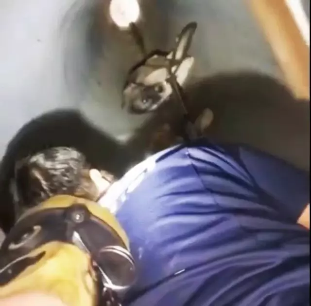 Elazığ'da yaralı halde bulunan köpek itfaiye ekipleri tarafından kurtarıldı