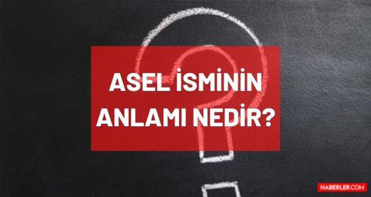 Asel isminin anlamı nedir? Asel nedir, ne demek, hangi dilde? Asel ismi Kur'an'da geçiyor mu? TDK'ya göre Asel anlamı ne?