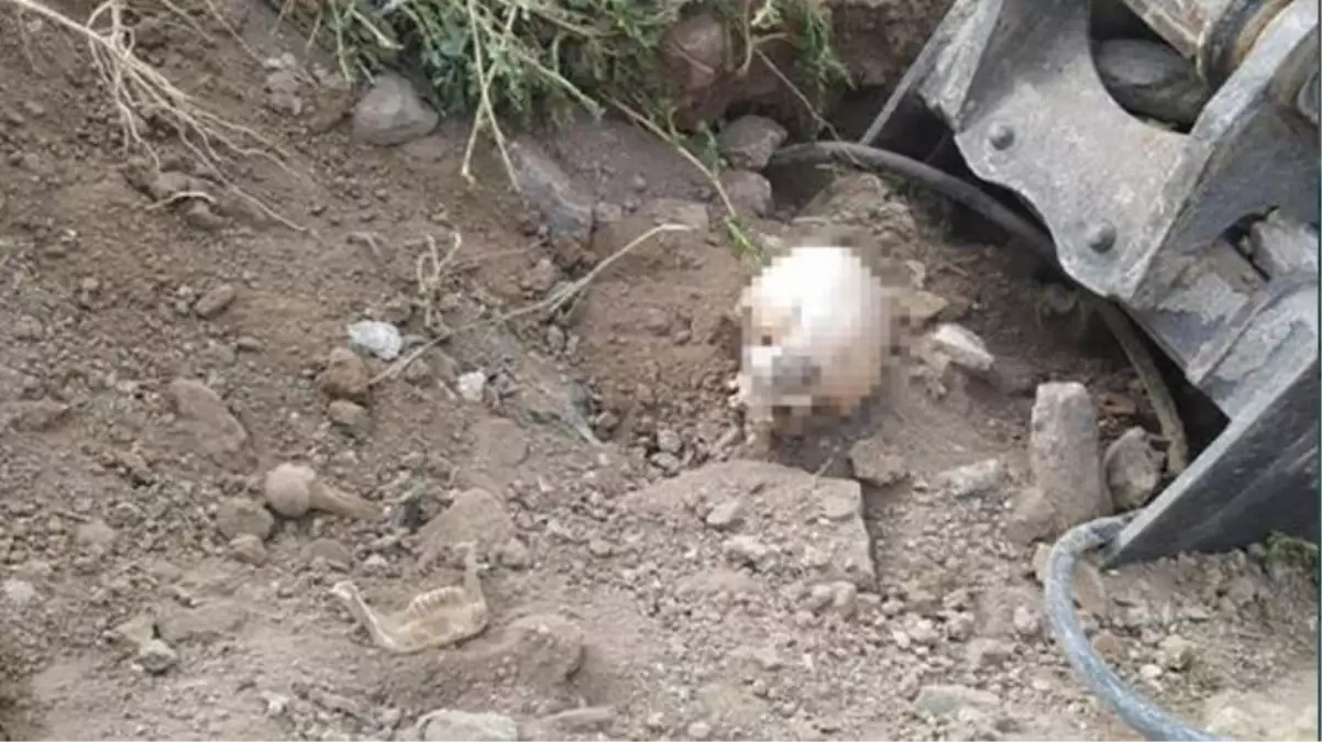 Başkent'in göbeğinde şaşırtan manzara! Yol çalışması yapan belediye ekipler insan kafatası buldu