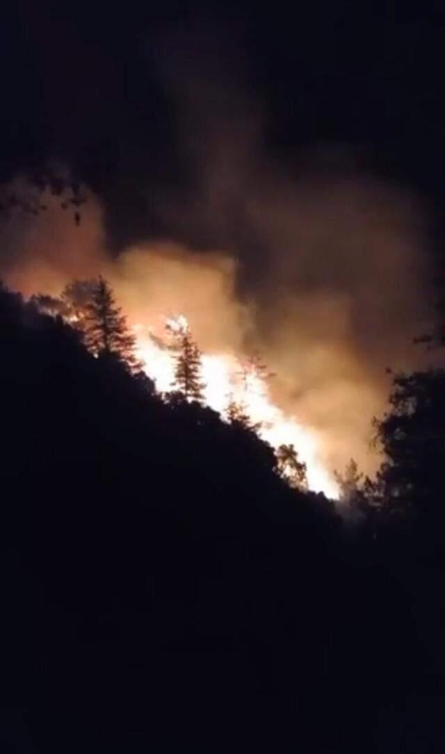 Gece yıldırım düşen ormanlık alan cayır cayır yanıyor! Hala söndürülemedi