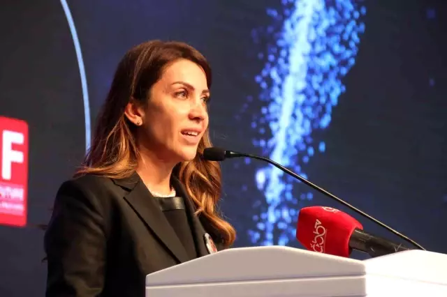 Hedef güneş enerjisi ile Türkiye'ye 3 bin 500 megavatlık güç eklemek