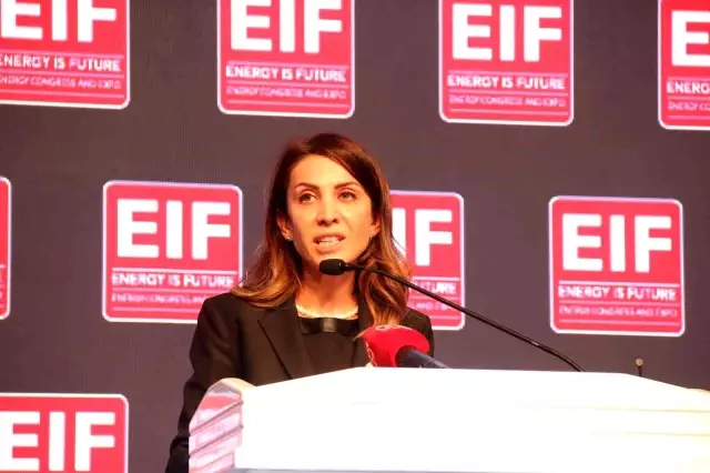 Hedef güneş enerjisi ile Türkiye'ye 3 bin 500 megavatlık güç eklemek