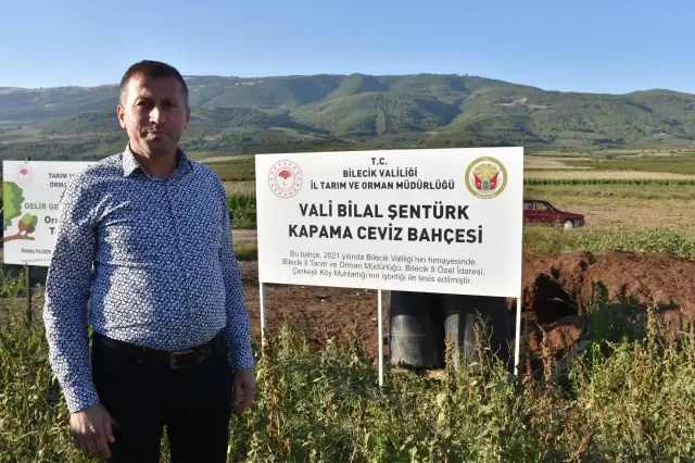 Kavaklığı ceviz bahçesine dönüştüren muhtarlık ihtiyaç sahiplerini sevindirecek
