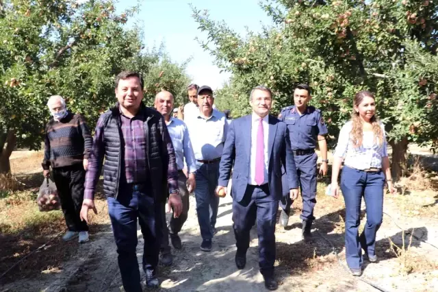-Korkuteli protokolü elma hasatında