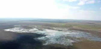 Güneydoğu Anadolu: Kuruyan Kuyucuk Gölü sağlanan 'can suyu' ile yeniden kuşları ağırlıyor Güneydoğu Anadolu: Kuruyan Kuyucuk Gölü sağlanan 'can suyu' ile yeniden kuşları ağırlıyor