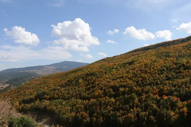 Mudurnu Dağları sonbahar renklerine büründü