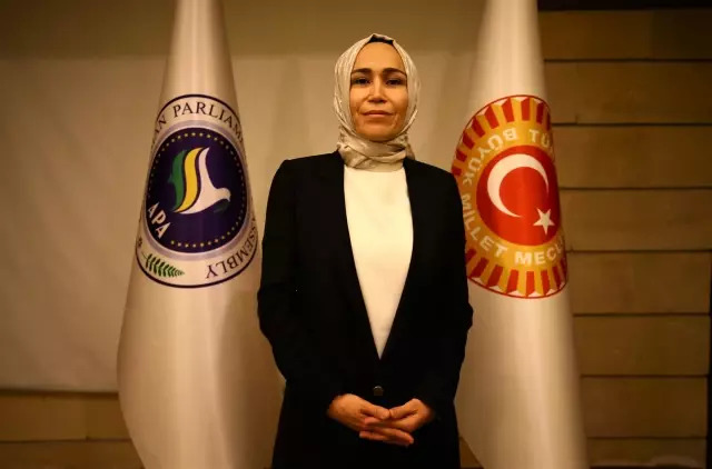Asya Parlamenter Asamblesi 2. Başkanlık Divanı Toplantısı sona erdi