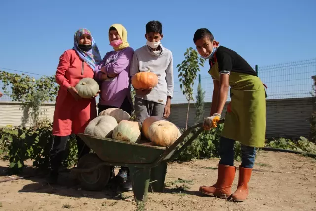  Özel öğrenciler, çevre dostu çalışmalarıyla örnek oluyor