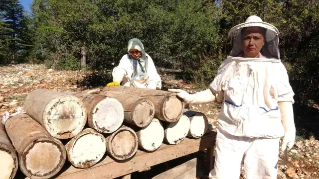 Yörüklerin 100 yıl önce göç yolunda ürettiği asırlık balı yeniden ürettiler