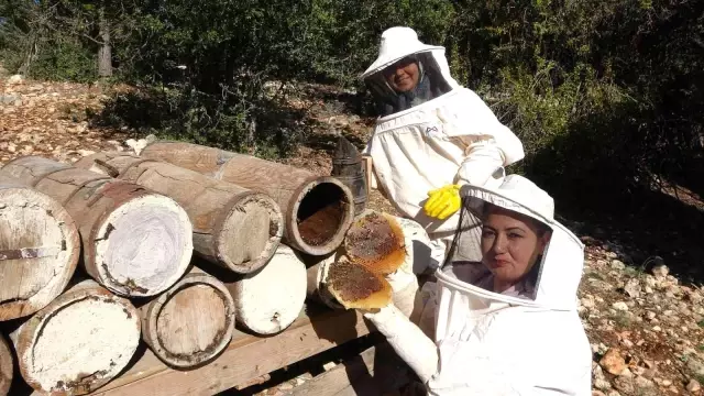 Yörüklerin 100 yıl önce göç yolunda ürettiği asırlık balı yeniden ürettiler