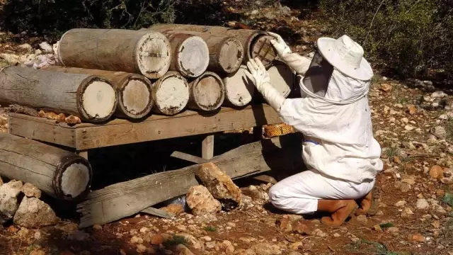 Yörüklerin 100 yıl önce göç yolunda ürettiği asırlık balı yeniden ürettiler