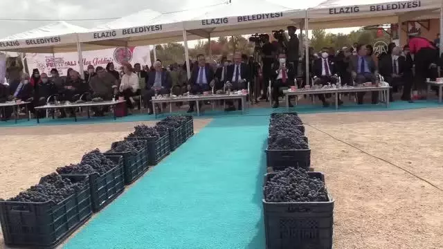 15. Geleneksel Orcik ve Bağ Bozumu Festivali yapıldı