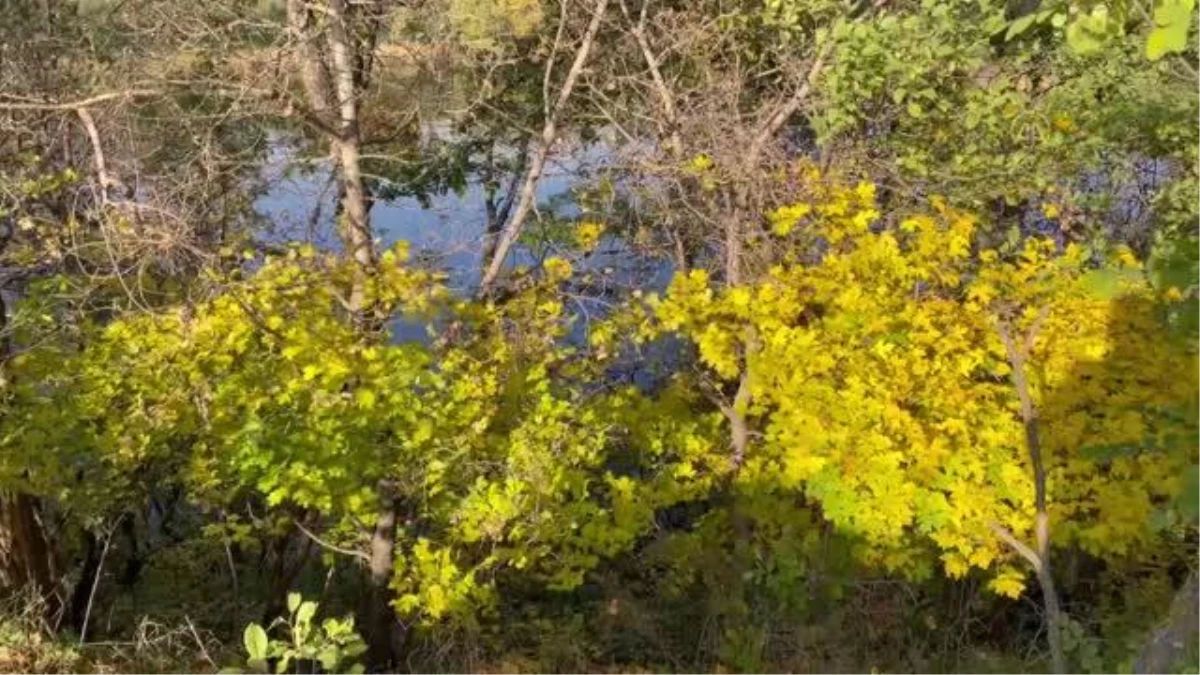 Armutveren Gölü çevresi sonbahar renklerine büründü