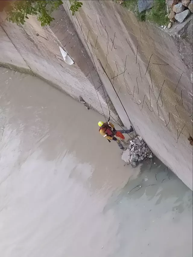 Nehre düşen kedinin yardımına AFAD ekibi koştu