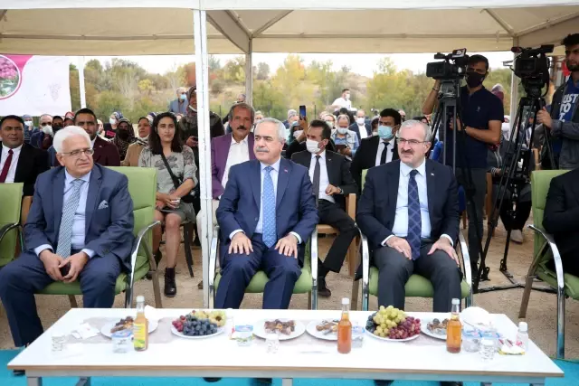15. Geleneksel Orcik ve Bağ Bozumu Festivali yapıldı