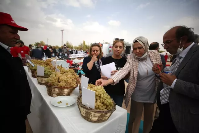 15. Geleneksel Orcik ve Bağ Bozumu Festivali yapıldı