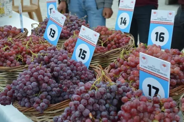 ELAZIĞ'DA 15'İNCİ 'ORCİK FESTİVALİ VE BAĞBOZUMU ŞENLİKLERİ'
