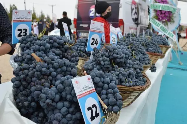 ELAZIĞ'DA 15'İNCİ 'ORCİK FESTİVALİ VE BAĞBOZUMU ŞENLİKLERİ'