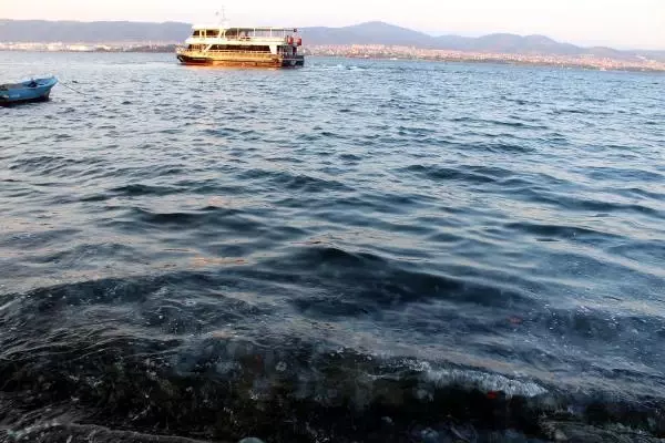 GÖLCÜK'TE SAHİL DENİZANASIYLA KAPLANDI