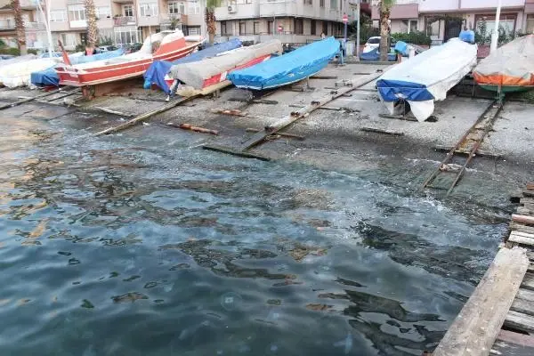 GÖLCÜK'TE SAHİL DENİZANASIYLA KAPLANDI