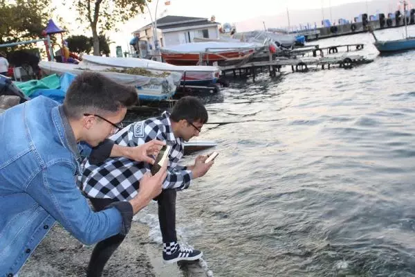 GÖLCÜK'TE SAHİL DENİZANASIYLA KAPLANDI