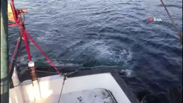 Hayalet ağlar, beyaz eşya sektörüne hammadde olacak