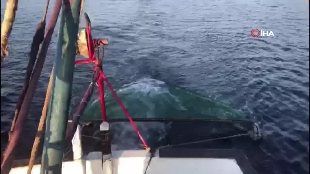 Hayalet ağlar, beyaz eşya sektörüne hammadde olacak