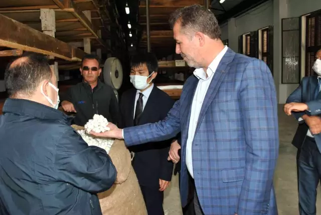 Japon Diplomat Sarıcakaya'ya hayran kaldı