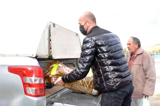 Mahallenin sevimli kedilerine özel bakım ve aşılama yapıldı