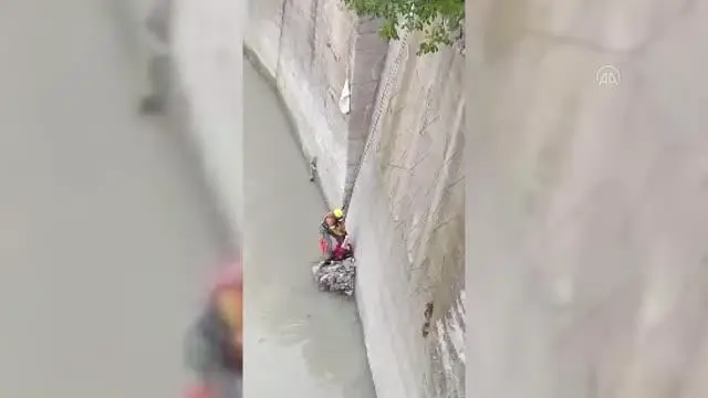 Nehre düşen kedinin yardımına AFAD ekibi koştu