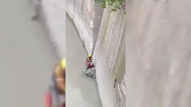 Nehre düşen kedinin yardımına AFAD ekibi koştu