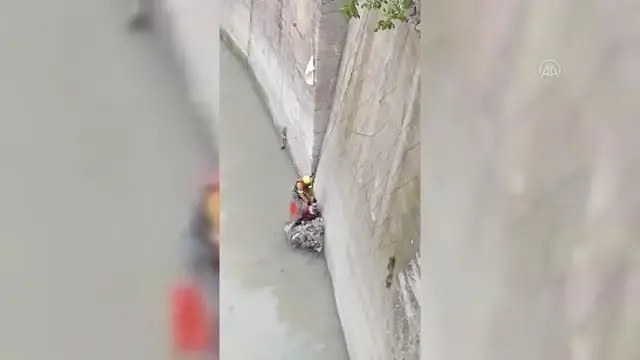 Nehre düşen kedinin yardımına AFAD ekibi koştu