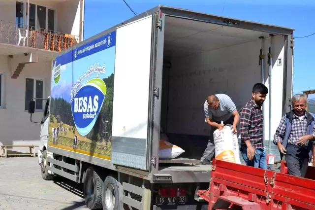 Siyez buğdayında hasat bereketi