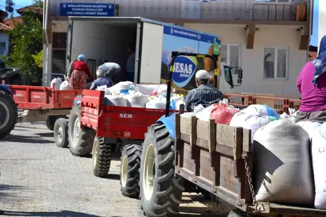 Siyez buğdayında hasat bereketi