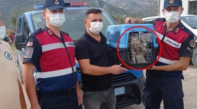 Son dakika gündem haberleri! Son 24 saatte yaşanan güncel olaylar