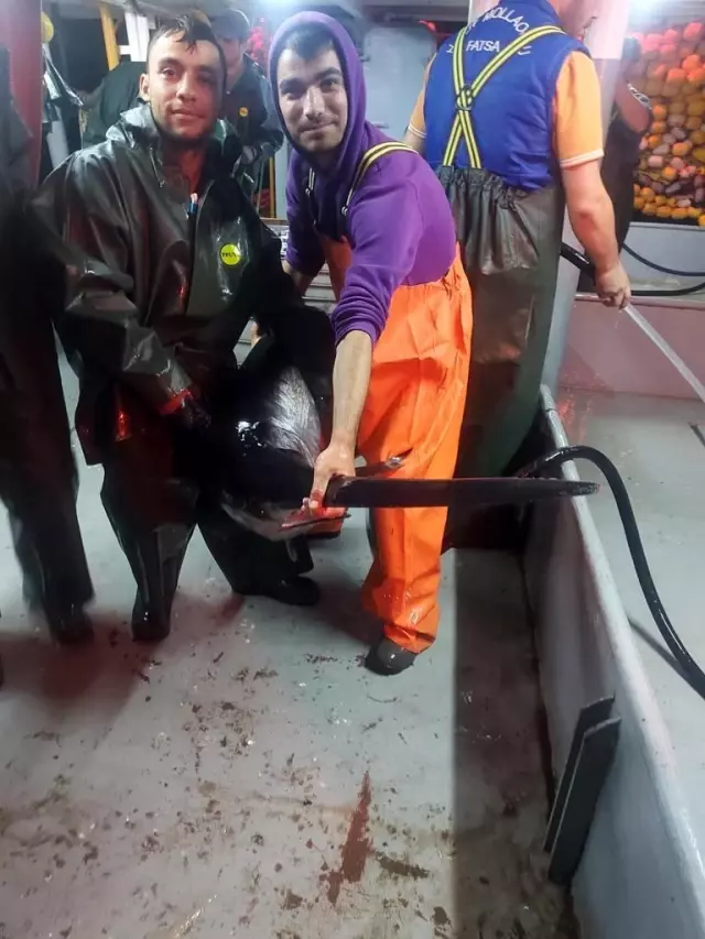 60 yıl sonra boğazda kılıç balığı ağlara takıldı
