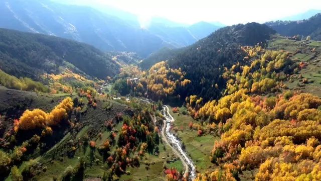 Artvin'de sonbaharın gelişiyle renk cümbüşü yaşanıyor