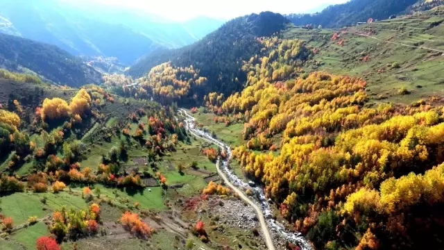 Artvin'de sonbaharın gelişiyle renk cümbüşü yaşanıyor