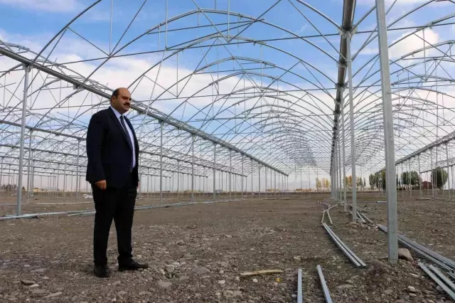 Erzurum'da jeotermal kaynaklar sayesinde kışın da domates üretilecek