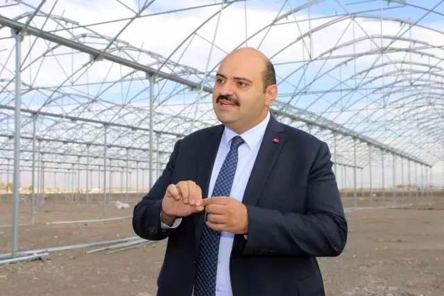 Erzurum'da jeotermal kaynaklar sayesinde kışın da domates üretilecek