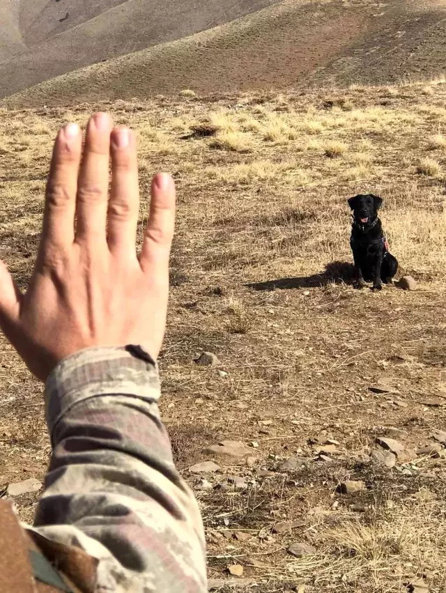 Bingöl'de tuzaklamış EYP imha edildi