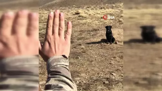 Bingöl'de tuzaklamış EYP imha edildi
